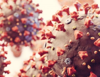 Coronavirus: How St Andrew's is preparing