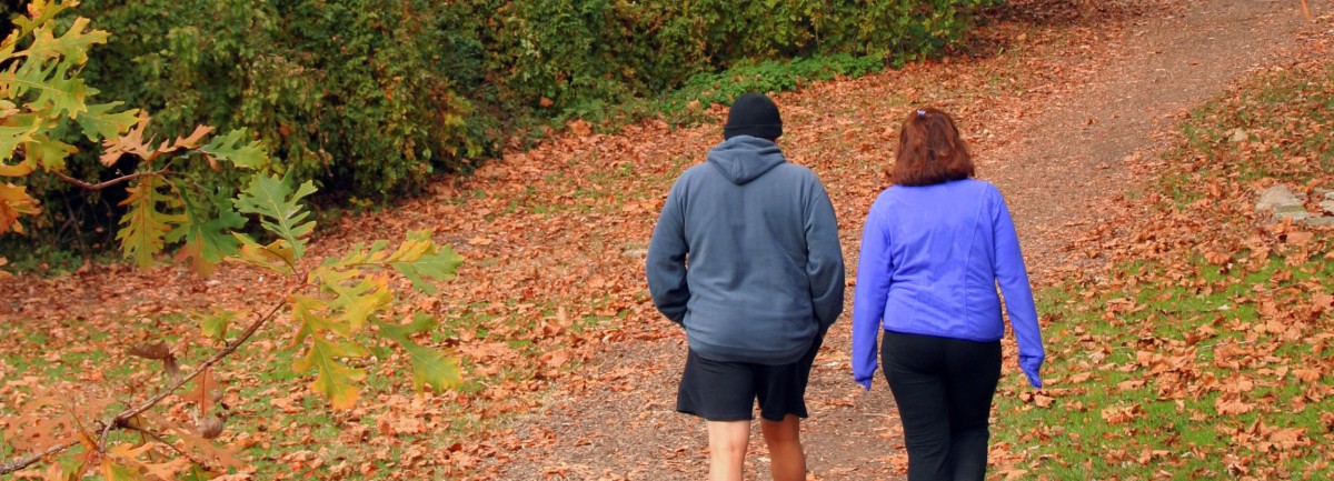 physio conf flyer image 08 crop