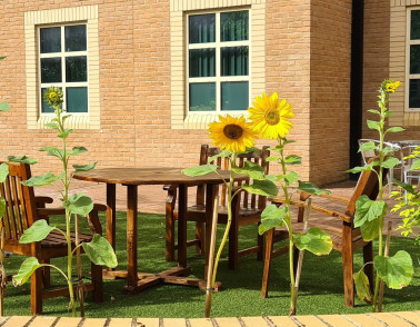 Praise for ward workshops during COVID